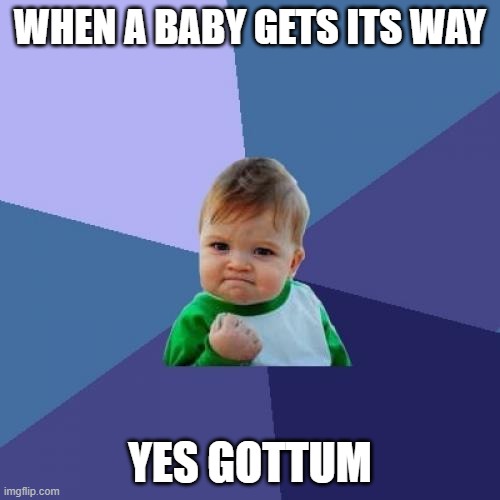 Success Kid Meme | WHEN A BABY GETS ITS WAY; YES GOTTUM | image tagged in memes,success kid | made w/ Imgflip meme maker