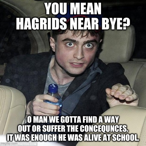 harry potter crazy | YOU MEAN HAGRIDS NEAR BYE? O MAN WE GOTTA FIND A WAY OUT OR SUFFER THE CONCEQUNCES. IT WAS ENOUGH HE WAS ALIVE AT SCHOOL. | image tagged in harry potter crazy | made w/ Imgflip meme maker