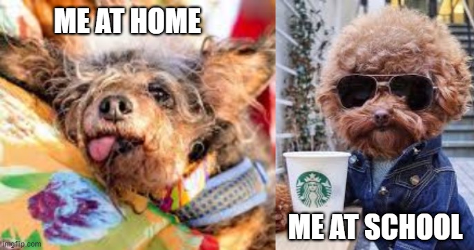 ME AT HOME; ME AT SCHOOL | image tagged in memes | made w/ Imgflip meme maker