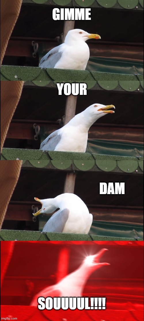 Inhaling Seagull Meme | GIMME; YOUR; DAM; SOUUUUL!!!! | image tagged in memes,inhaling seagull | made w/ Imgflip meme maker