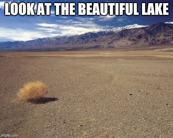 desert tumbleweed | LOOK AT THE BEAUTIFUL LAKE | image tagged in desert tumbleweed | made w/ Imgflip meme maker