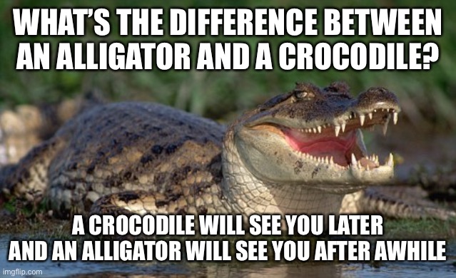 Alligator vs crocodile | WHAT’S THE DIFFERENCE BETWEEN AN ALLIGATOR AND A CROCODILE? A CROCODILE WILL SEE YOU LATER AND AN ALLIGATOR WILL SEE YOU AFTER AWHILE | image tagged in alligator,crocodile,dad joke | made w/ Imgflip meme maker