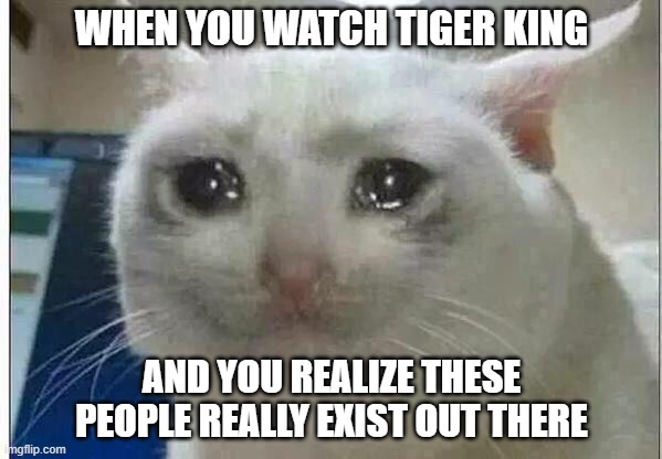 crying cat | WHEN YOU WATCH TIGER KING; AND YOU REALIZE THESE PEOPLE REALLY EXIST OUT THERE | image tagged in crying cat,tiger king | made w/ Imgflip meme maker