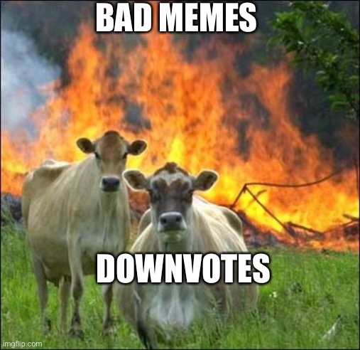 Evil Cows | BAD MEMES; DOWNVOTES | image tagged in memes,evil cows | made w/ Imgflip meme maker