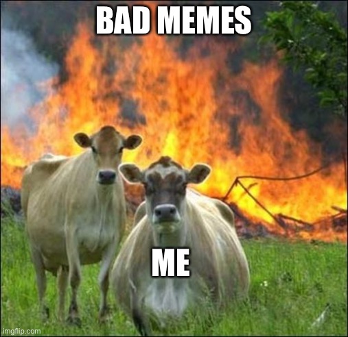 This is true | BAD MEMES; ME | image tagged in memes,evil cows | made w/ Imgflip meme maker