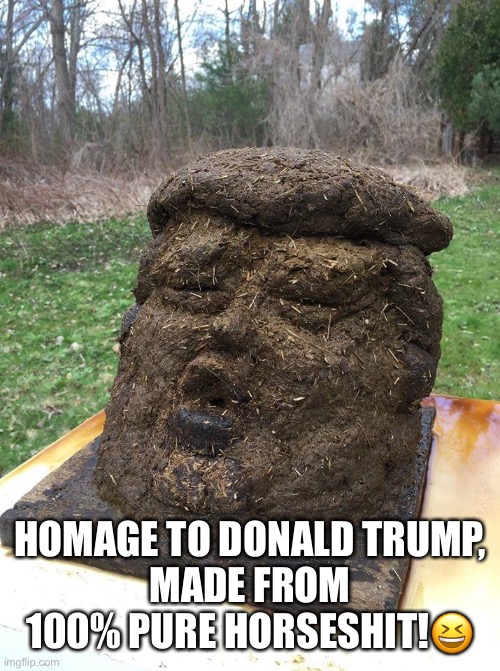 Homage To Donald Trump | HOMAGE TO DONALD TRUMP,
MADE FROM 100% PURE HORSESHIT!😆 | image tagged in donald trump,horseshit,bullshit,shit,shithole,pile of shit | made w/ Imgflip meme maker