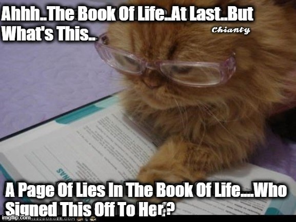 The Book | r ? | image tagged in who | made w/ Imgflip meme maker