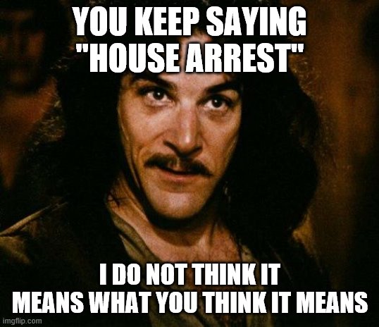 More hyperbolic language from conservatives. American stay-at-home orders are not "house arrest." You can go outside. | YOU KEEP SAYING "HOUSE ARREST"; I DO NOT THINK IT MEANS WHAT YOU THINK IT MEANS | image tagged in inigo montoya,quarantine,social distancing,covid-19,coronavirus,conservative logic | made w/ Imgflip meme maker