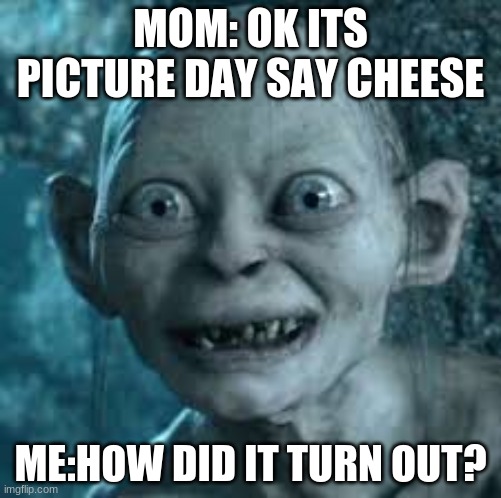 picture day during quarentine | MOM: OK ITS PICTURE DAY SAY CHEESE; ME:HOW DID IT TURN OUT? | image tagged in quarantine,gollum,homeschool | made w/ Imgflip meme maker