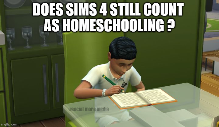 Sims 4 | DOES SIMS 4 STILL COUNT 
AS HOMESCHOOLING ? | image tagged in sims 4,homeschooling,covid-19,coronavirus,video game | made w/ Imgflip meme maker