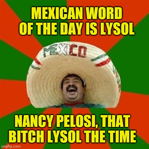 Mexican word of the day | MEXICAN WORD OF THE DAY IS LYSOL; NANCY PELOSI, THAT BITCH LYSOL THE TIME | image tagged in mexican word of the day | made w/ Imgflip meme maker