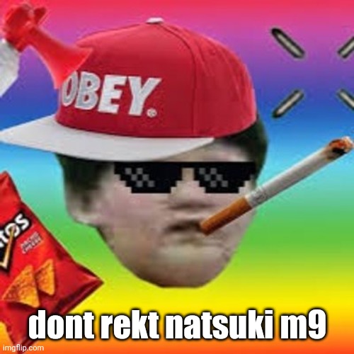 Rekt m9 | dont rekt natsuki m9 | image tagged in rekt m9 | made w/ Imgflip meme maker