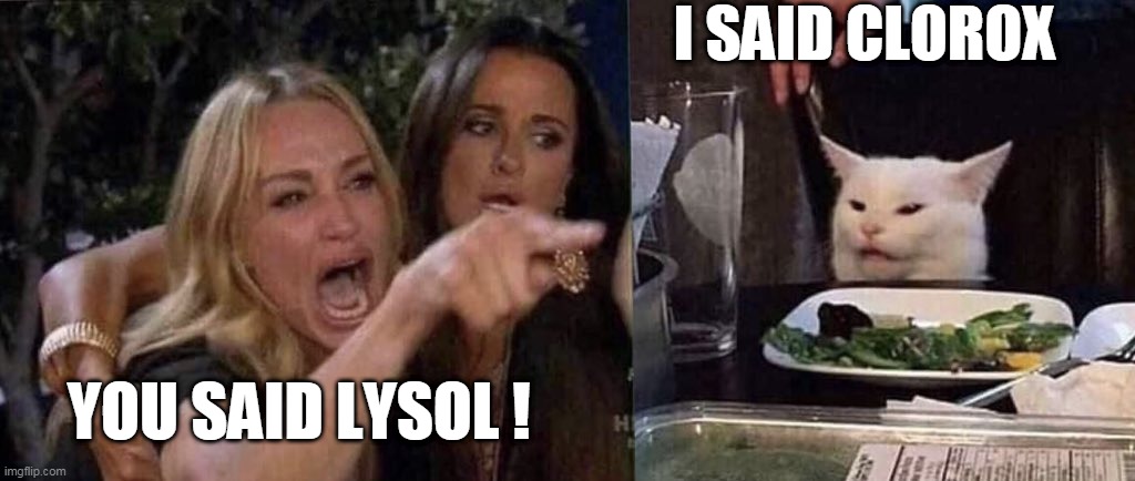 You said Lysol | I SAID CLOROX; YOU SAID LYSOL ! | image tagged in woman yelling at cat | made w/ Imgflip meme maker