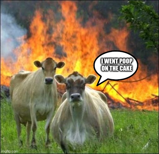 Evil Cows Meme | I WENT POOP ON THE CAKE | image tagged in memes,evil cows | made w/ Imgflip meme maker