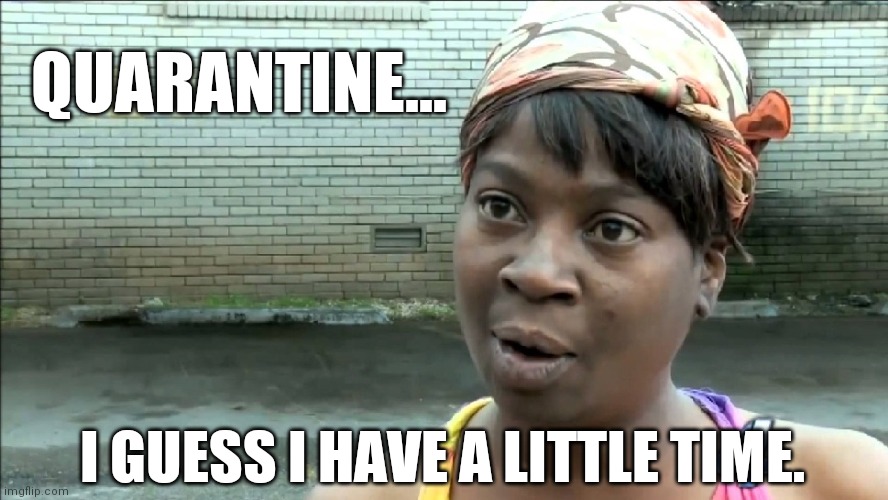 aint nobody got time for that | QUARANTINE... I GUESS I HAVE A LITTLE TIME. | image tagged in aint nobody got time for that | made w/ Imgflip meme maker