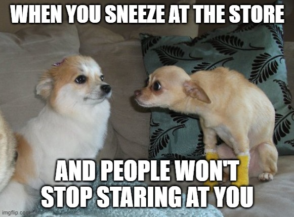 Creepy Stare | WHEN YOU SNEEZE AT THE STORE; AND PEOPLE WON'T STOP STARING AT YOU | image tagged in creepy stare | made w/ Imgflip meme maker