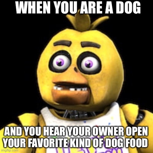 Dog food | WHEN YOU ARE A DOG; AND YOU HEAR YOUR OWNER OPEN YOUR FAVORITE KIND OF DOG FOOD | image tagged in fnaf,chica | made w/ Imgflip meme maker