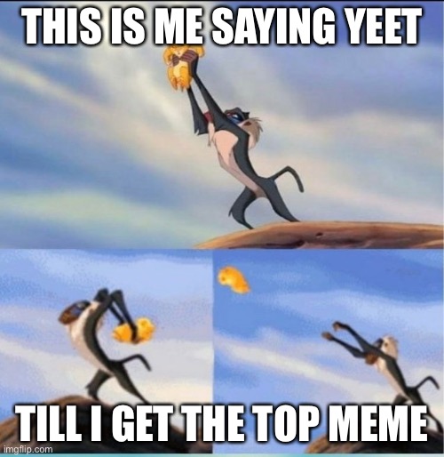 Yeet | THIS IS ME SAYING YEET; TILL I GET THE TOP MEME | image tagged in lion being yeeted | made w/ Imgflip meme maker