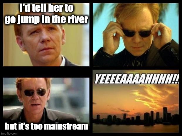 CSI | I'd tell her to go jump in the river but it's too mainstream | image tagged in csi | made w/ Imgflip meme maker