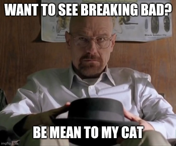 Breaking Bad | WANT TO SEE BREAKING BAD? BE MEAN TO MY CAT | image tagged in breaking bad | made w/ Imgflip meme maker