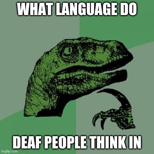 i also wonder... | WHAT LANGUAGE DO; DEAF PEOPLE THINK IN | image tagged in memes,philosoraptor | made w/ Imgflip meme maker