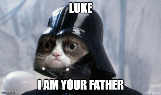 Grumpy Cat Star Wars Meme | LUKE; I AM YOUR FATHER | image tagged in memes,grumpy cat star wars,grumpy cat | made w/ Imgflip meme maker