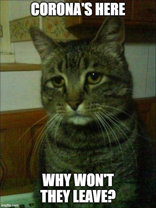Depressed Cat | CORONA'S HERE; WHY WON'T THEY LEAVE? | image tagged in memes,depressed cat | made w/ Imgflip meme maker