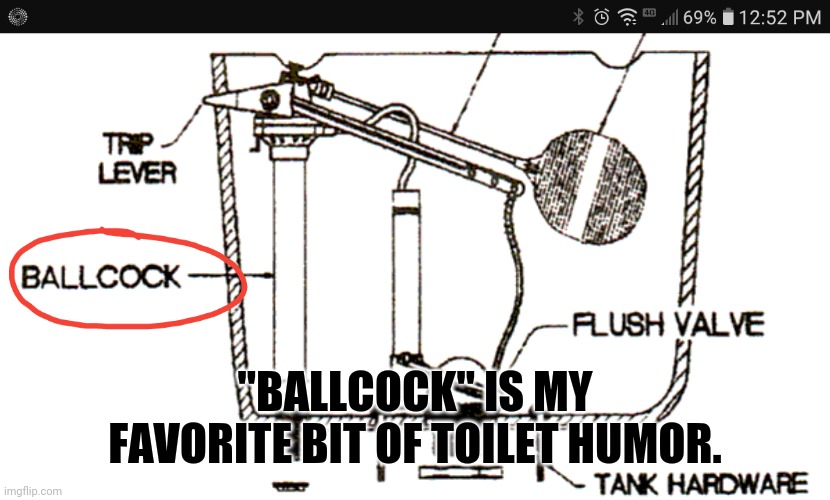 Ballcock is my favorite bit of toilet humor | "BALLCOCK" IS MY FAVORITE BIT OF TOILET HUMOR. | image tagged in toilet humor,toilet,ballcock,jargon,plumber,dad joke | made w/ Imgflip meme maker
