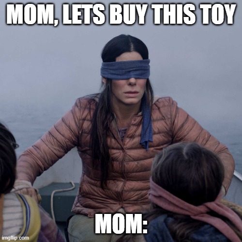 Bird Box Meme | MOM, LETS BUY THIS TOY; MOM: | image tagged in memes,bird box | made w/ Imgflip meme maker
