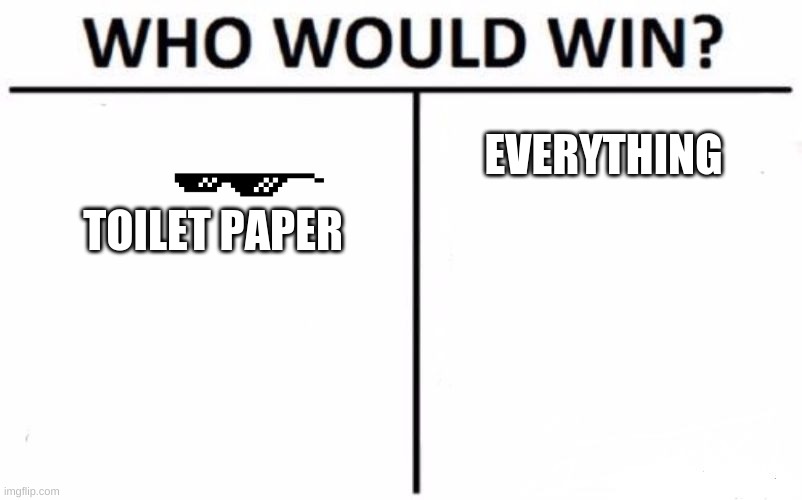 Who Would Win? Meme | EVERYTHING; TOILET PAPER | image tagged in memes,who would win | made w/ Imgflip meme maker