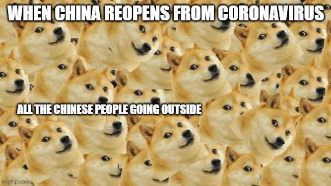 Chinese | WHEN CHINA REOPENS FROM CORONAVIRUS; ALL THE CHINESE PEOPLE GOING OUTSIDE | image tagged in memes,multi doge | made w/ Imgflip meme maker
