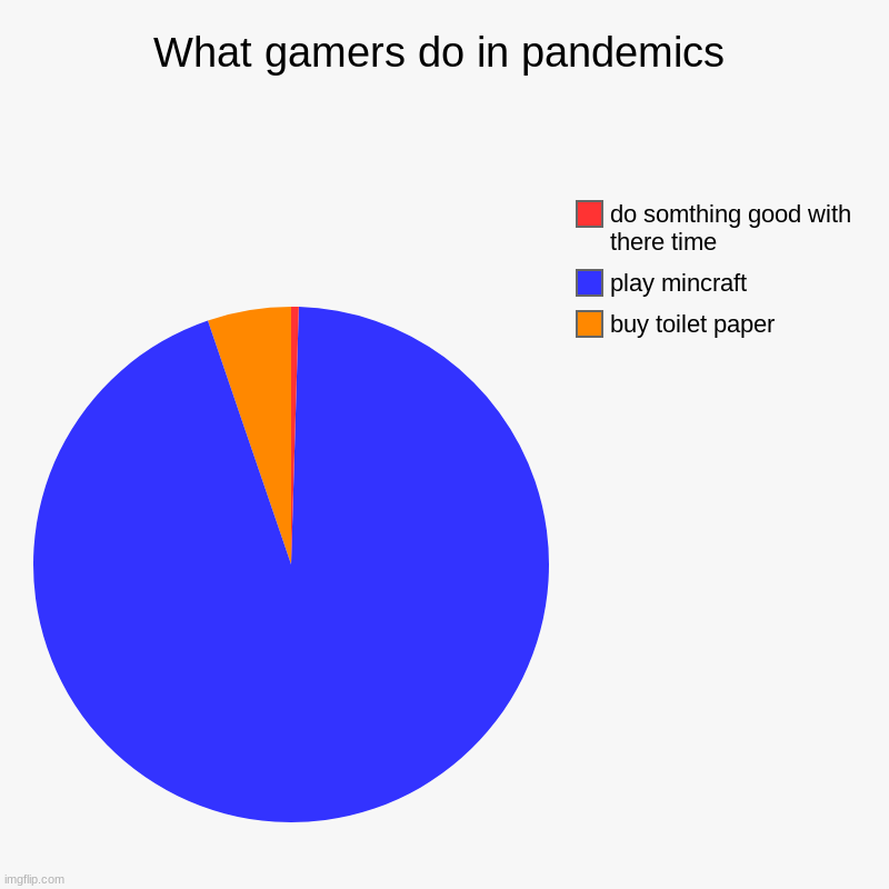What gamers do in pandemics | buy toilet paper, play mincraft, do somthing good with there time | image tagged in charts,pie charts | made w/ Imgflip chart maker