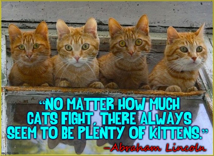 Cats getting the job done since 4400 BC | “NO MATTER HOW MUCH CATS FIGHT, THERE ALWAYS SEEM TO BE PLENTY OF KITTENS.”; –Abraham Lincoln | image tagged in vince vance,abraham lincoln,cats,cute kittens,cat fight,new memes | made w/ Imgflip meme maker