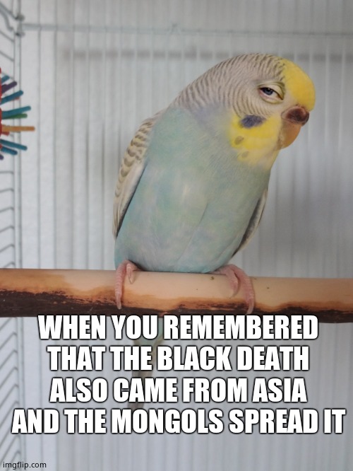 Sceptical Budgie | WHEN YOU REMEMBERED THAT THE BLACK DEATH ALSO CAME FROM ASIA
AND THE MONGOLS SPREAD IT | image tagged in sceptical budgie,history | made w/ Imgflip meme maker
