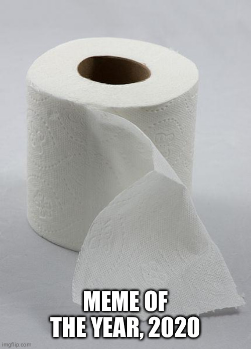 toilet paper | MEME OF THE YEAR, 2020 | image tagged in toilet paper | made w/ Imgflip meme maker