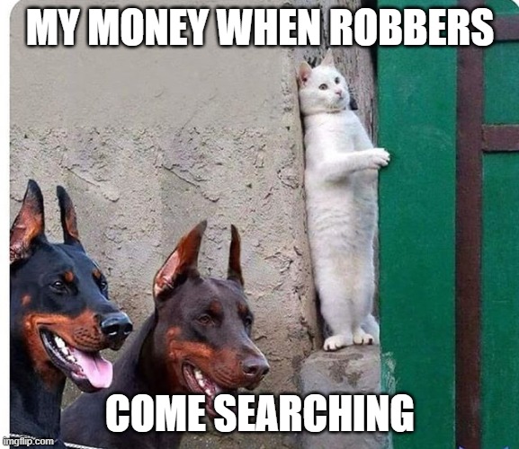 Hidden cat | MY MONEY WHEN ROBBERS; COME SEARCHING | image tagged in hidden cat | made w/ Imgflip meme maker