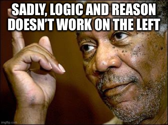 This Morgan Freeman | SADLY, LOGIC AND REASON DOESN’T WORK ON THE LEFT | image tagged in this morgan freeman | made w/ Imgflip meme maker