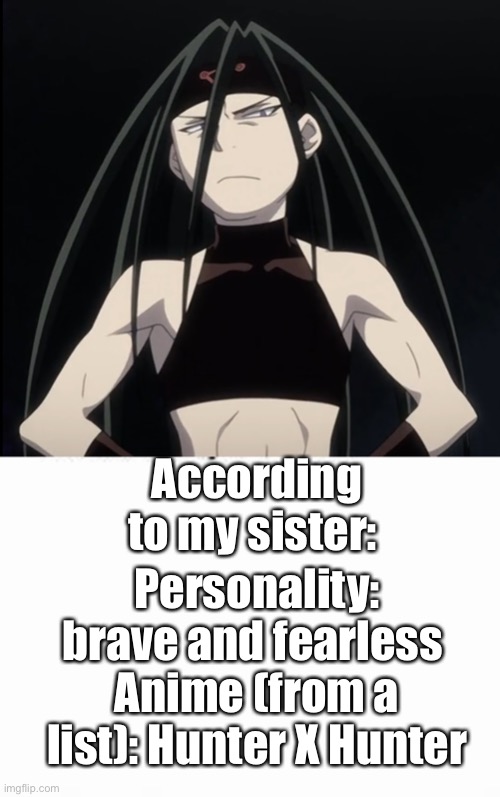 Wut????? | According to my sister:; Personality: brave and fearless; Anime (from a list): Hunter X Hunter | image tagged in fullmetal alchemist | made w/ Imgflip meme maker