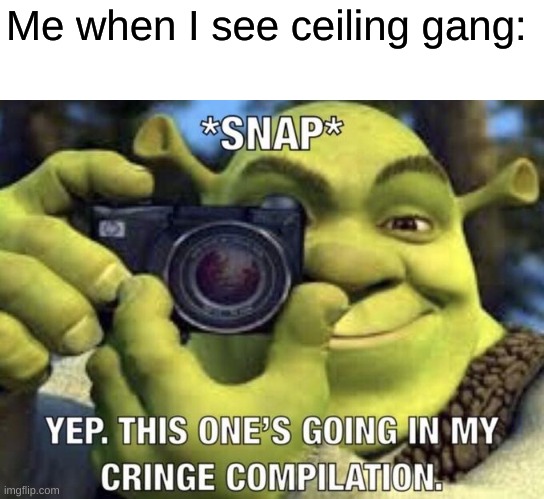 If you don't get this then you're ceilieng gang. Cringe | Me when I see ceiling gang: | image tagged in yep this one's going in my cringe compilation,only pewdiepie fans will know,floorgangforlife | made w/ Imgflip meme maker