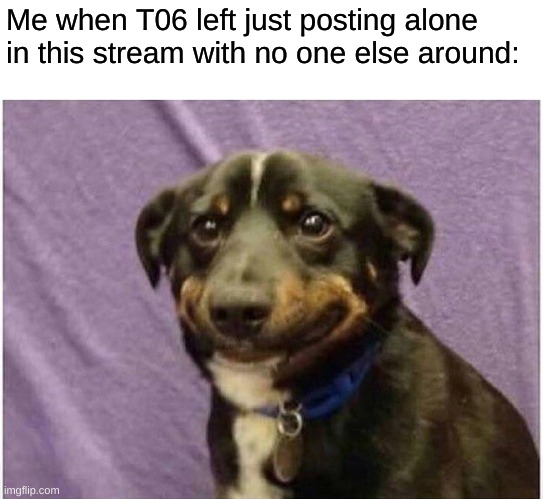 If you wanna check this stream out that would be cool but like... You don't have too... Would be nice though. | Me when T06 left just posting alone in this stream with no one else around: | image tagged in happy sad dog | made w/ Imgflip meme maker