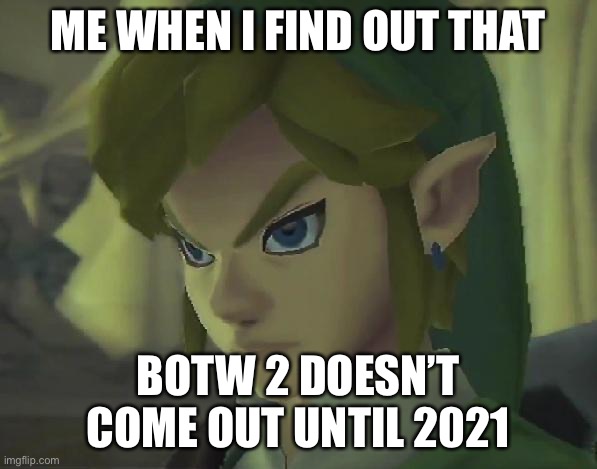 Angry Link | ME WHEN I FIND OUT THAT; BOTW 2 DOESN’T COME OUT UNTIL 2021 | image tagged in angry link | made w/ Imgflip meme maker