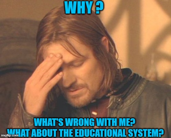 english frustation | WHY ? WHAT'S WRONG WITH ME?
 WHAT ABOUT THE EDUCATIONAL SYSTEM? | image tagged in memes,frustrated boromir | made w/ Imgflip meme maker