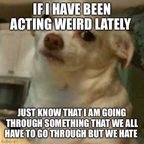 Just so you know | IF I HAVE BEEN ACTING WEIRD LATELY; JUST KNOW THAT I AM GOING THROUGH SOMETHING THAT WE ALL HAVE TO GO THROUGH BUT WE HATE IT | image tagged in disappointed doggo | made w/ Imgflip meme maker