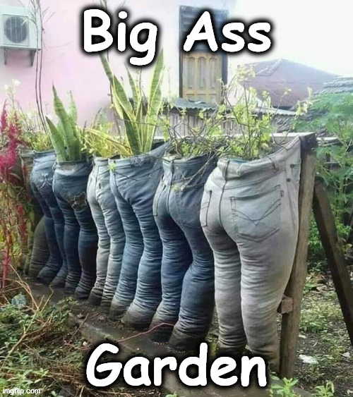 garden | Big Ass; Garden | image tagged in garden | made w/ Imgflip meme maker