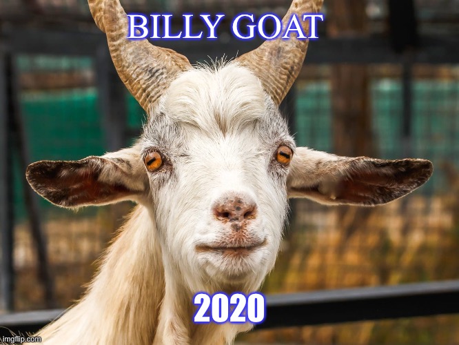 BILLY GOAT 2020 | made w/ Imgflip meme maker