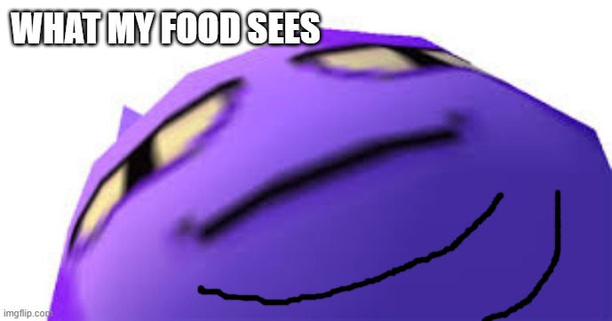 animal crossing | WHAT MY FOOD SEES | image tagged in meme | made w/ Imgflip meme maker