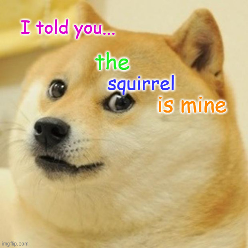 Doge Meme | I told you... the; squirrel; is mine | image tagged in memes,doge | made w/ Imgflip meme maker