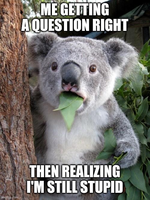 Surprised Koala Meme | ME GETTING A QUESTION RIGHT; THEN REALIZING I'M STILL STUPID | image tagged in memes,surprised koala | made w/ Imgflip meme maker