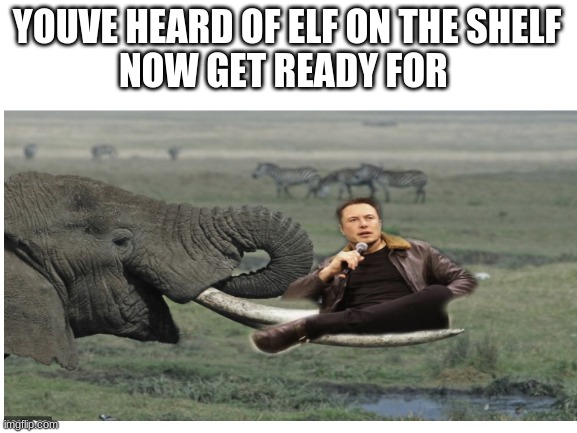 Elon Musk On a Elephant Tusk - Imgflip