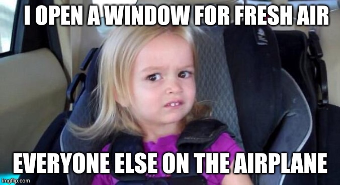 Oof meme | I OPEN A WINDOW FOR FRESH AIR; EVERYONE ELSE ON THE AIRPLANE | image tagged in wtf girl | made w/ Imgflip meme maker